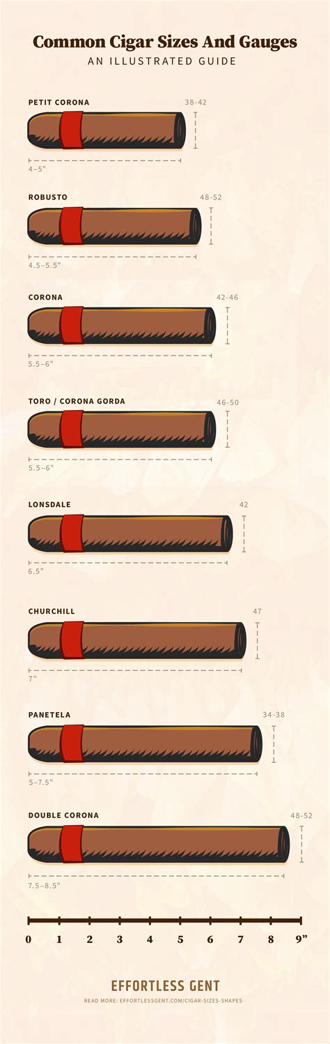 hermes leather cigar tube|cigar tube sizes.